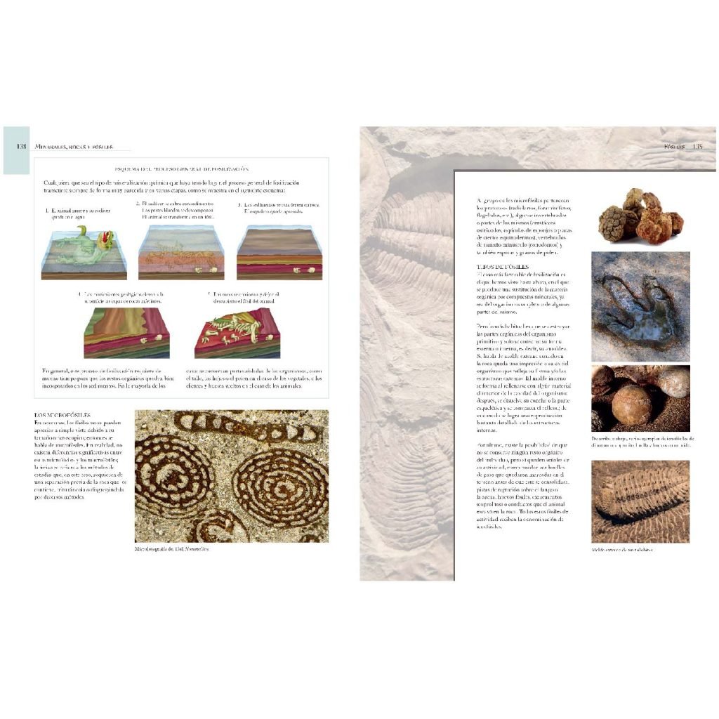 Enciclopedia Ilustrada De Minerales Rocas Y Fósiles Lexus Editores Perú 4454